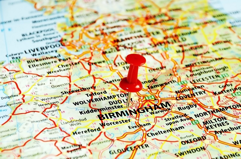 flowers  / certain flowers flowers  / The flowers